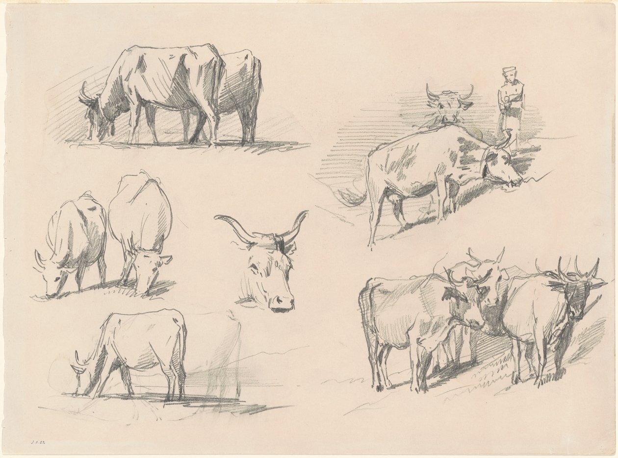 Studi di Bovini da John Singer Sargent