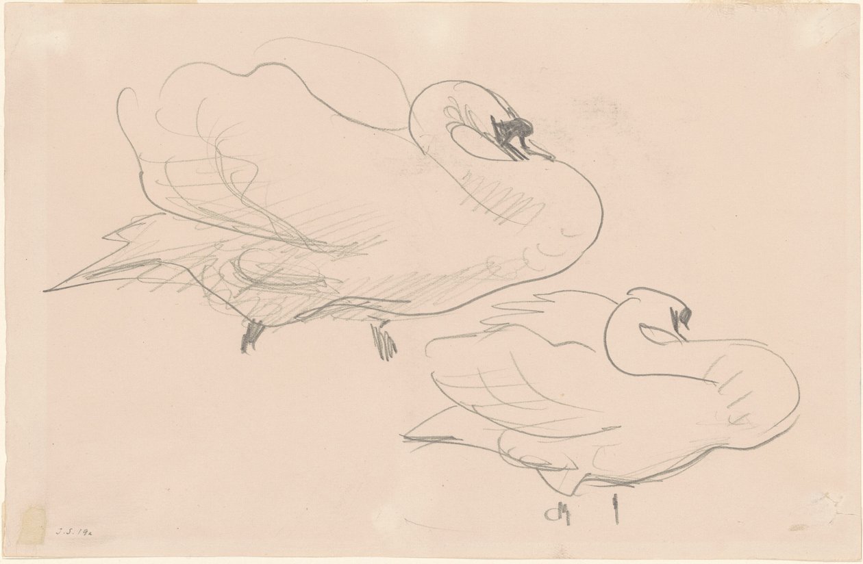 Studi di un cigno da John Singer Sargent