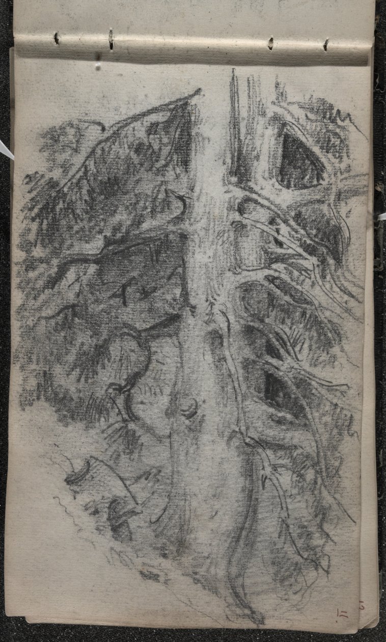 Studio di un albero, 1871-72 da John Singer Sargent