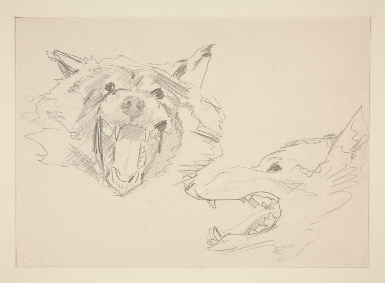 Due vedute di un lupo da John Singer Sargent