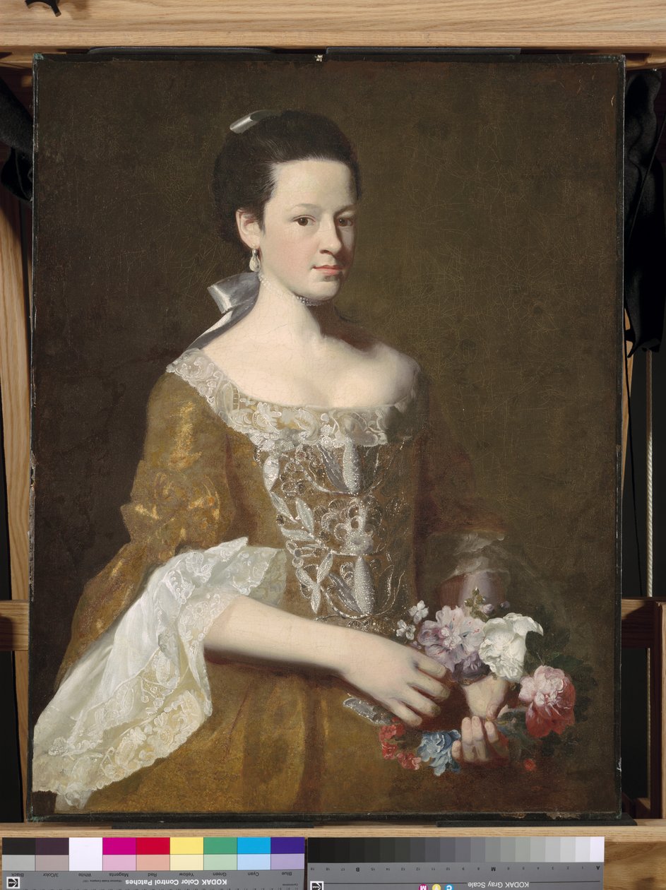 Dorothy Murray da John Singleton Copley