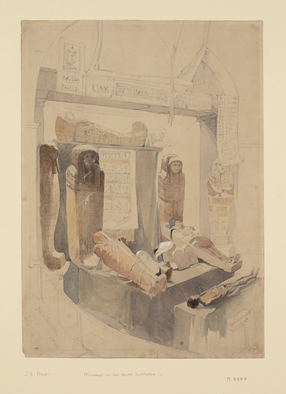 Mummie nell