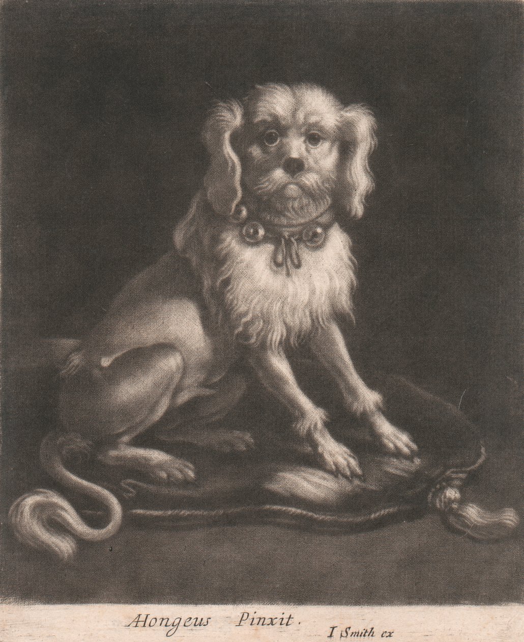 Un Piccolo Cane con un Collare con Campanelli da John Smith
