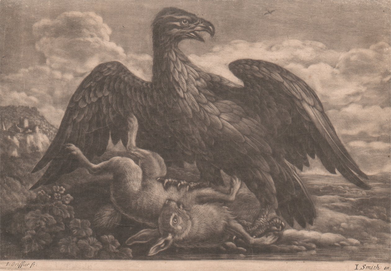 Aquila e lepre da John Smith