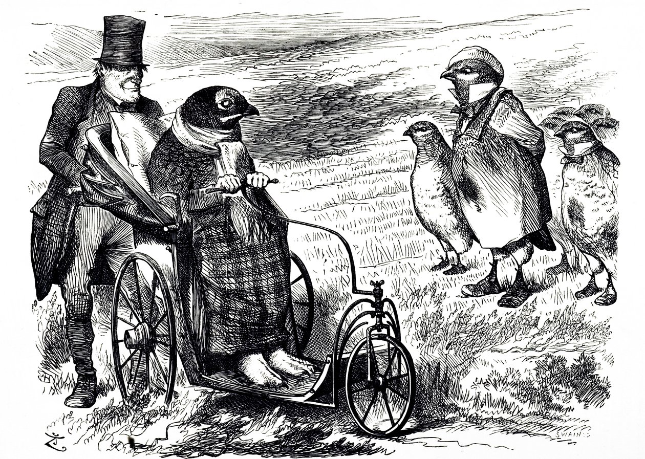 Un cartone animato che commenta la sospensione della caccia alla pernice per consentire il ripopolamento. Illustrato da John Tenniel (1820-1914) un illustratore inglese, umorista grafico e vignettista politico da John Tenniel