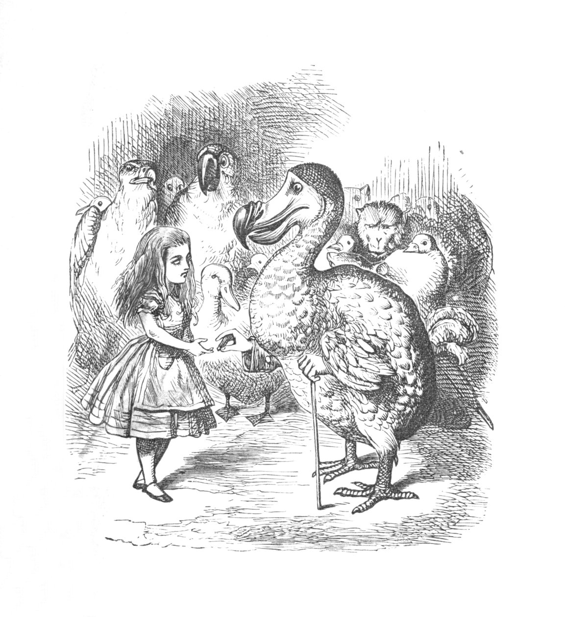 Alice e il Dodo, 1889 da John Tenniel