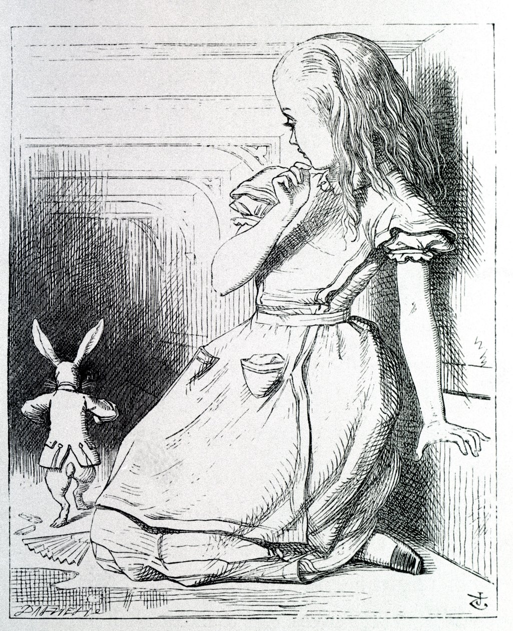 Alice e il coniglio - in ""Le avventure di Alice nel Paese delle Meraviglie e attraverso lo specchio"" di Lewis Carroll, ill. John Tenniel da John Tenniel