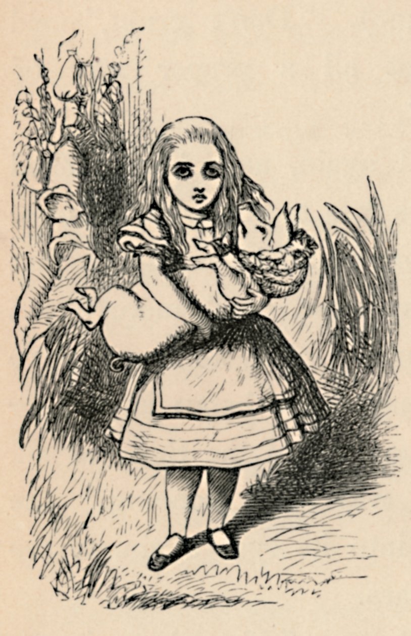 Alice che tiene un maiale tra le braccia, 1889 da John Tenniel