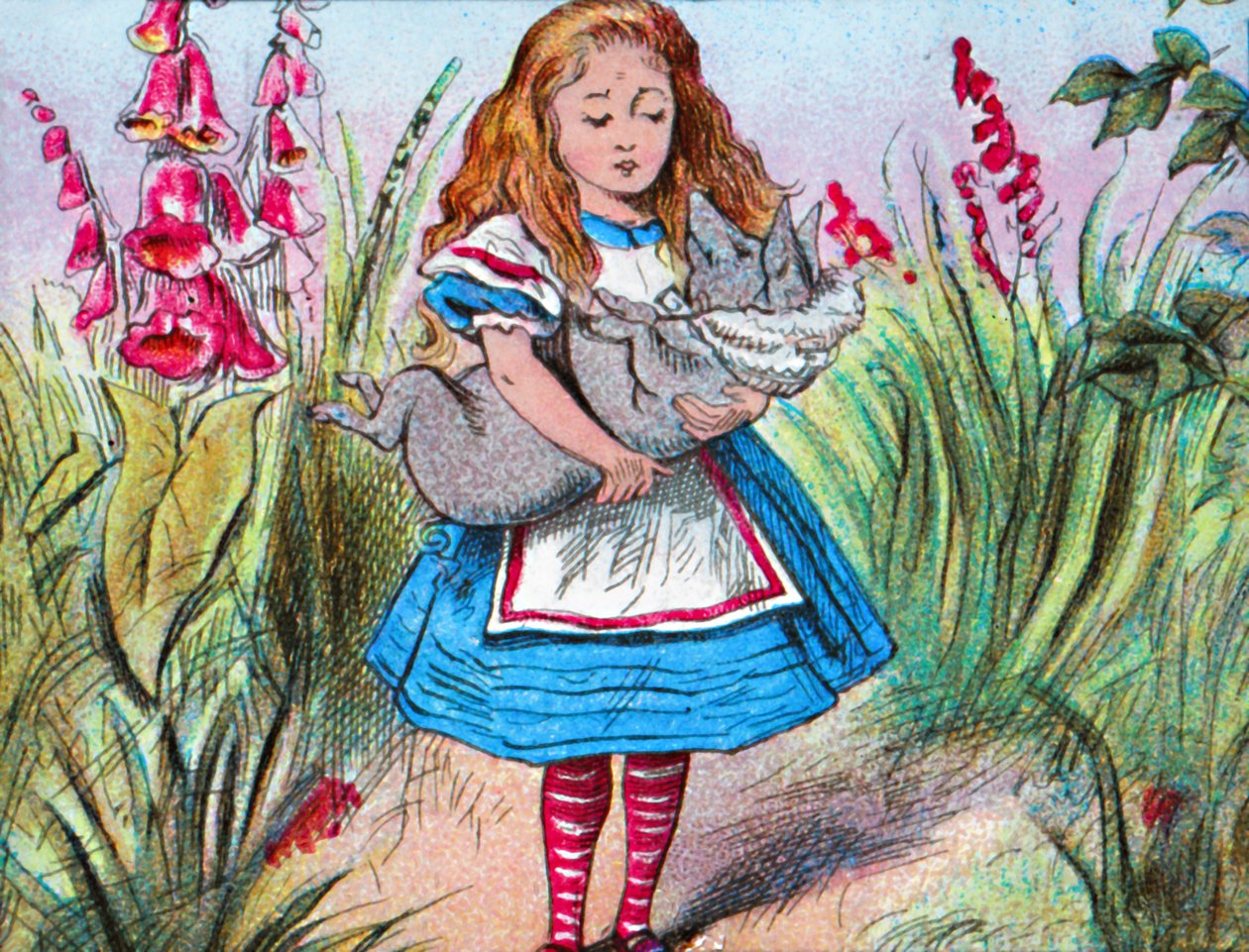 Alice che tiene un maiale tra le braccia, c1910 da John Tenniel