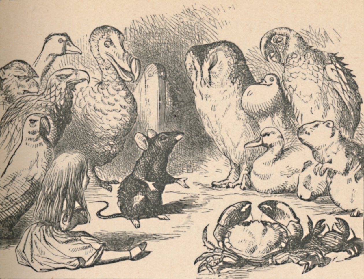 Illustrazione per il capitolo una Corsa Caucus e una lunga coda. Alice e varie creature da John Tenniel