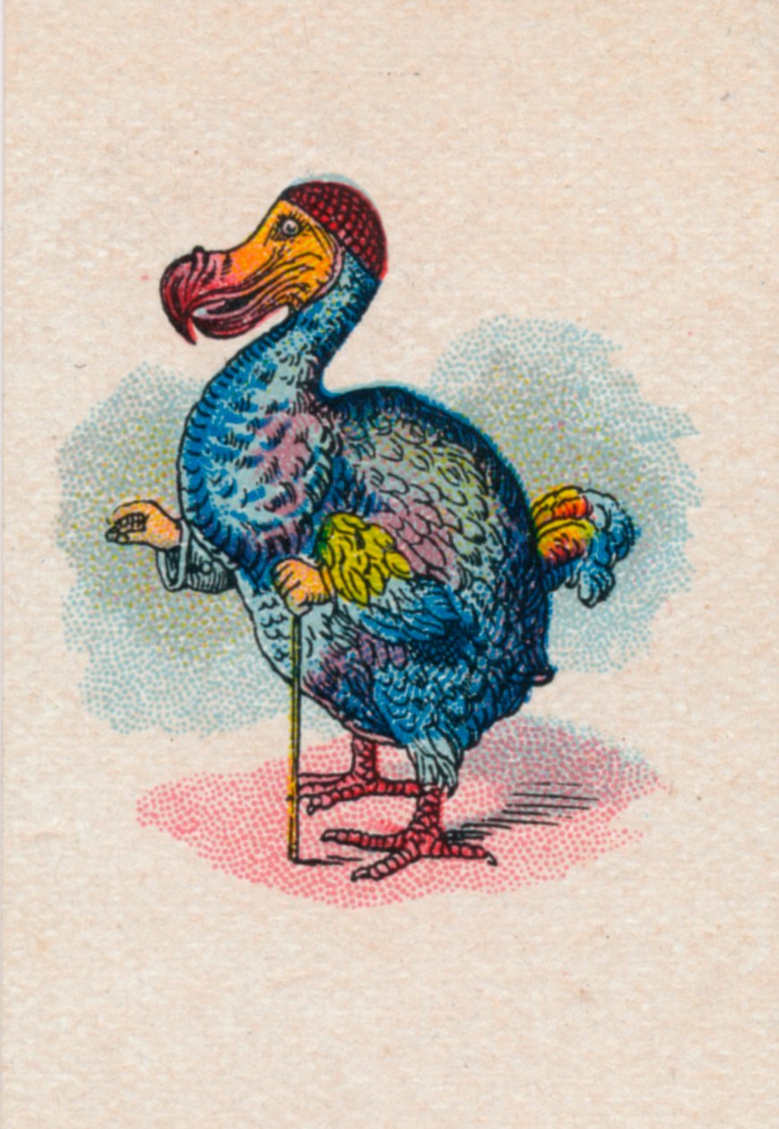 Il Dodo da John Tenniel