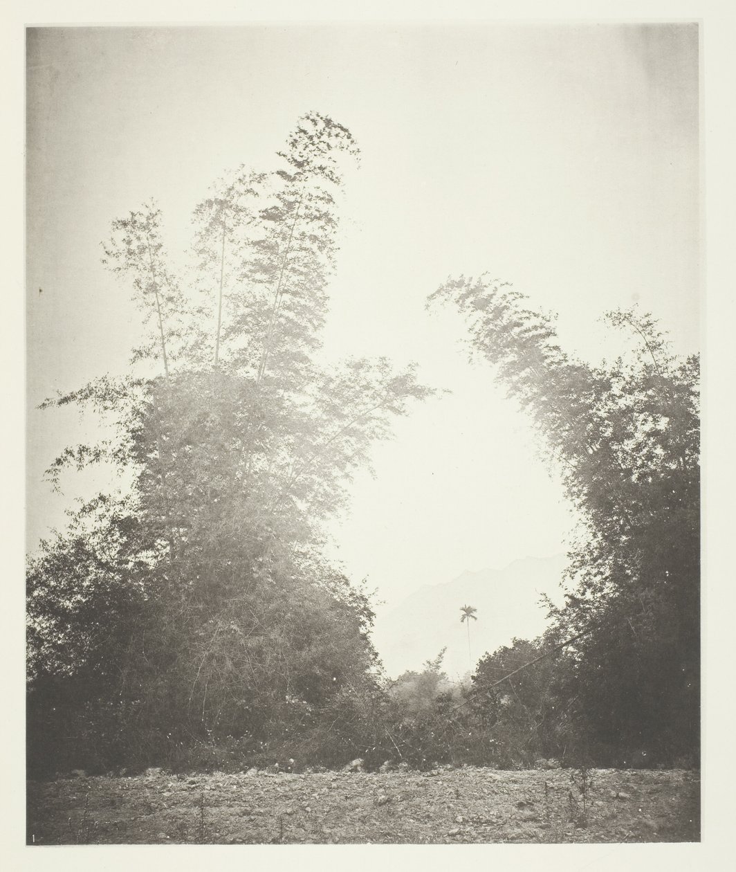 Bambù a Baksa, Formosa da John Thomson
