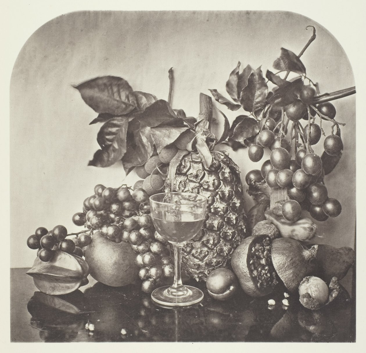 Frutta da John Thomson