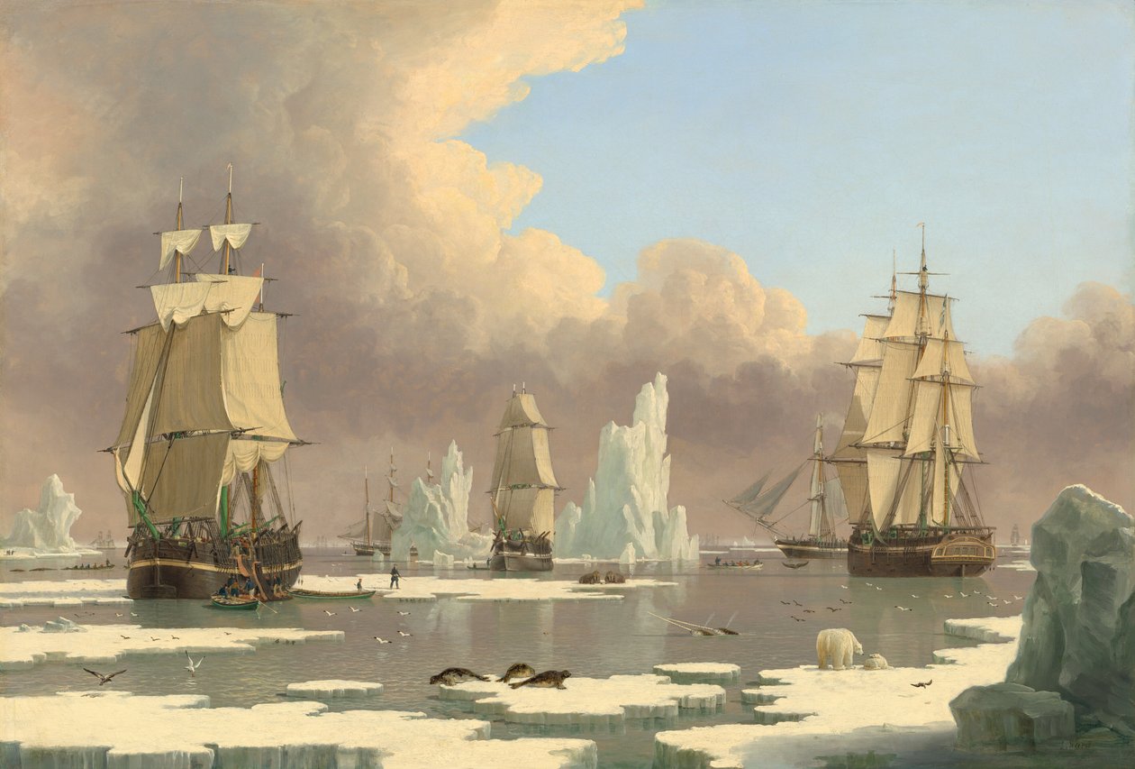 La pesca della balena del nord: Il cigno e Isabella da John Ward I