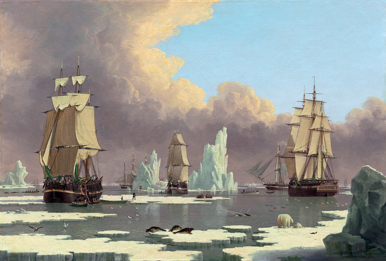 La pesca della balena del nord: Il Cigno e Isabella, c. 1840 da John Ward of Hull