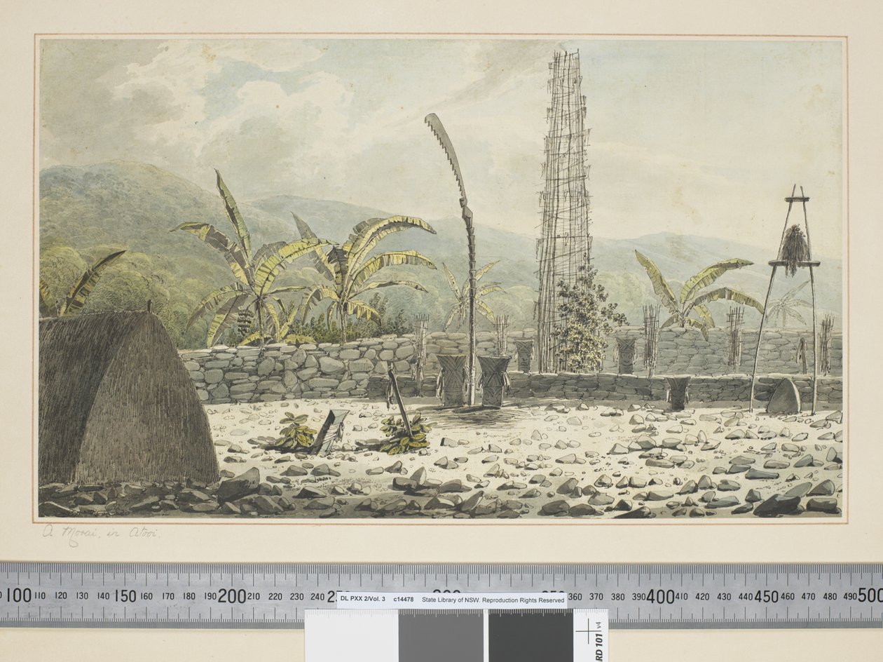 F.17 Un Morai, in Atooi, c.1773-84 da John Webber