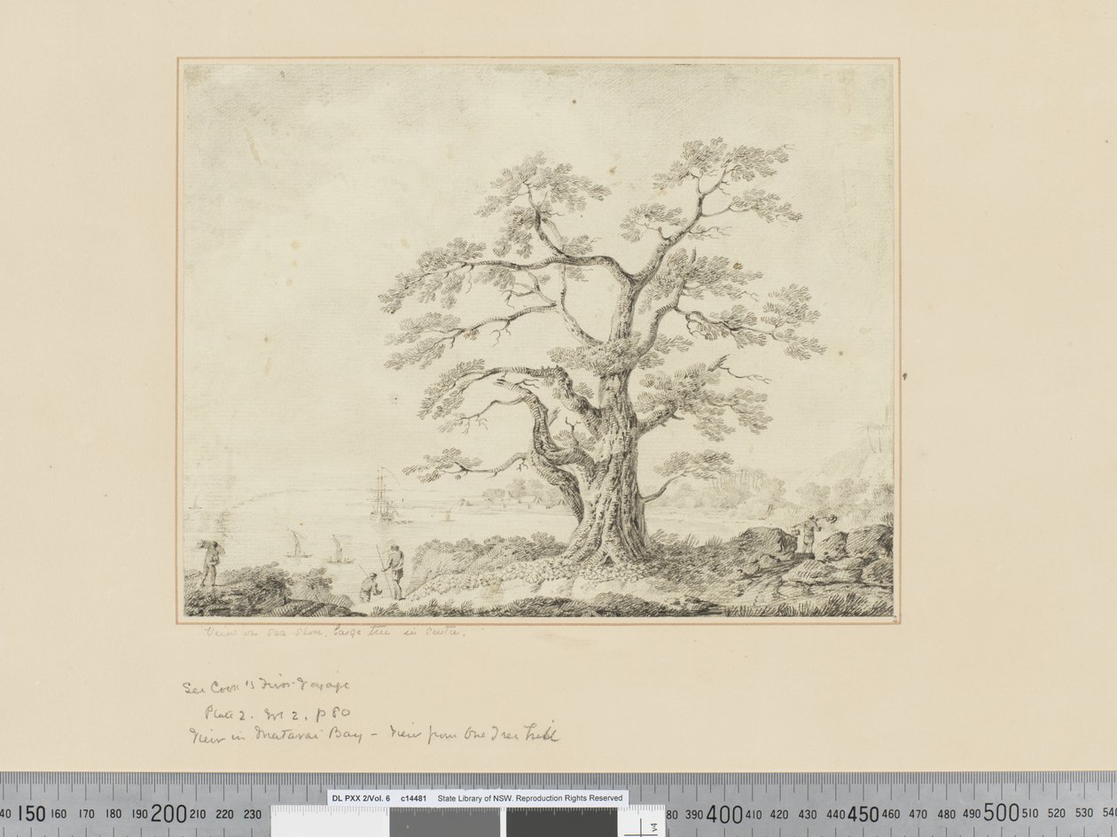F.44 Vista sulla riva del mare, grande albero al centro, c.1783-84 da John Webber