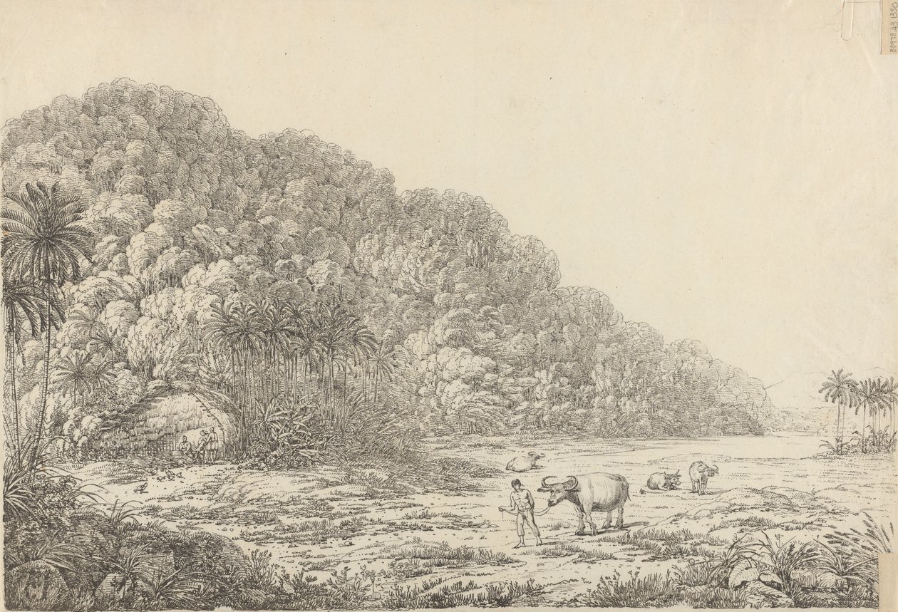 Veduta dell