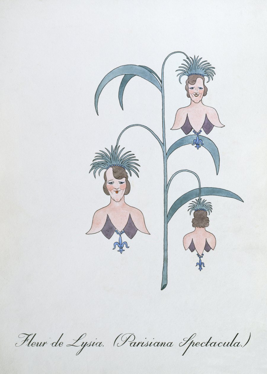 Fleur de Lysia (Parisiana Spectacula), illustrazione da 