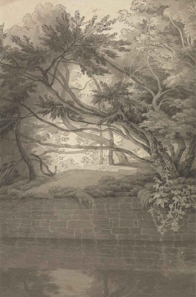 Alberi che Sovrastano un Lago da John White Abbott
