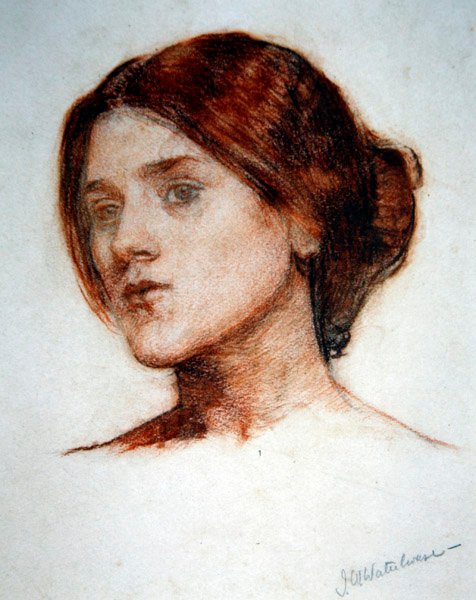 Studio della testa di una ragazza per 