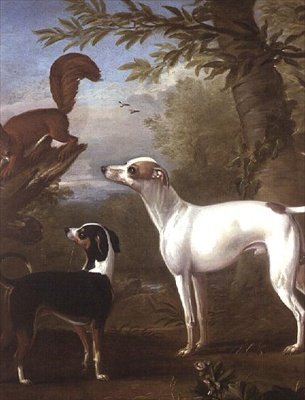Due cani da caccia attratti da uno scoiattolo su un ceppo d