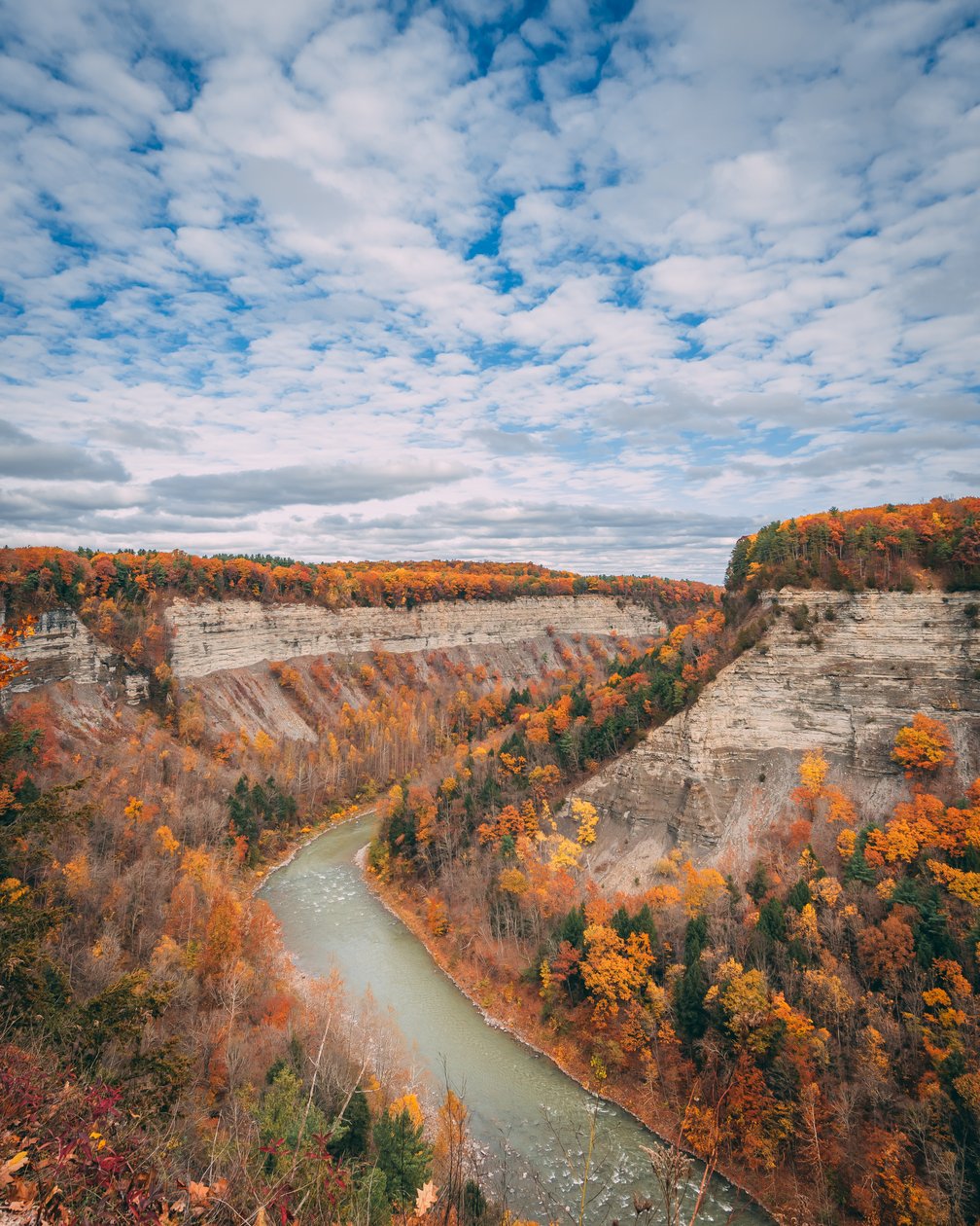 Colori autunnali nella gola del Letchworth State Park, New York, USA da Jon Bilous