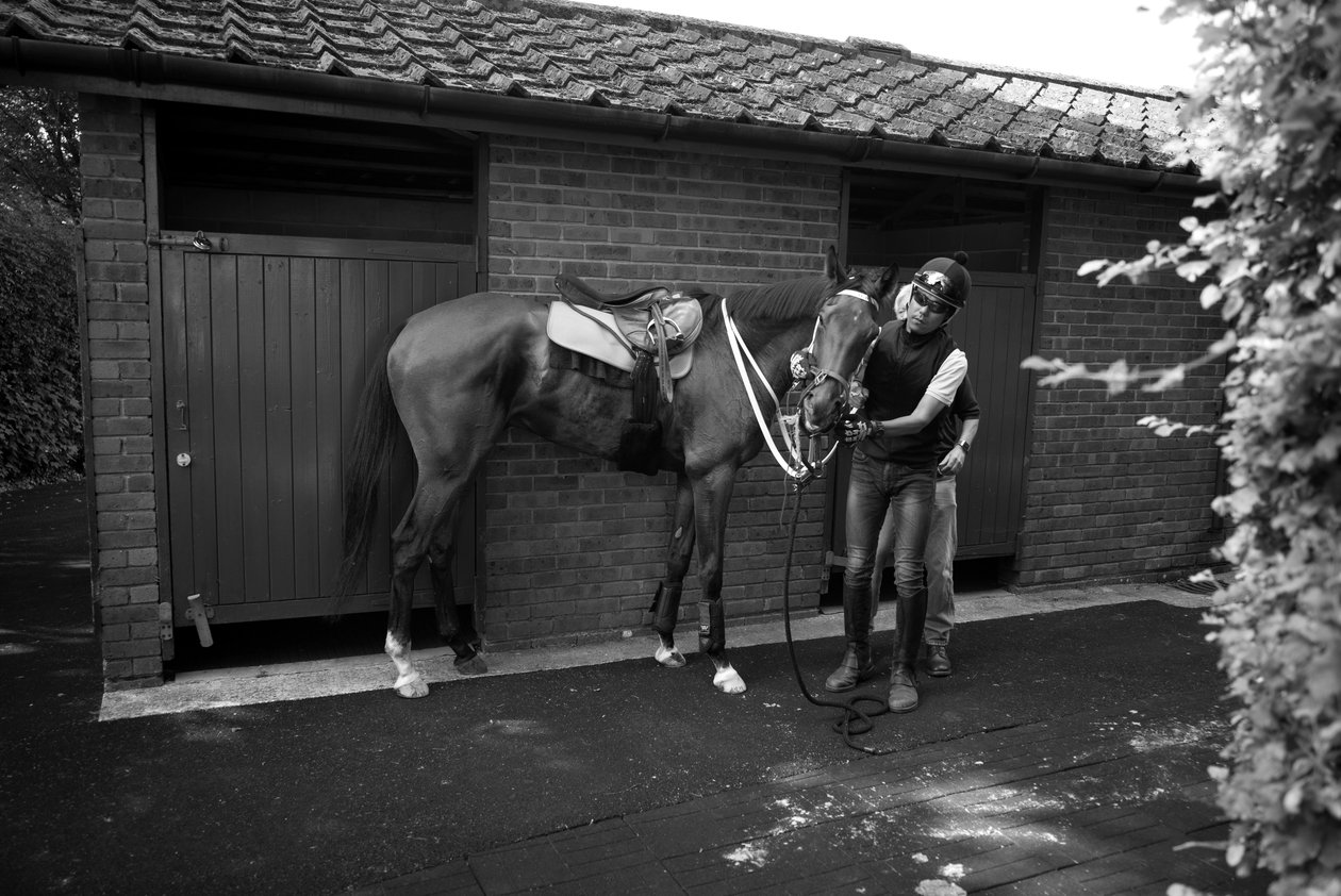 La tenuta di Goodwood nel West Sussex, Regno Unito, 2019 (foto) da Jon Nicholson