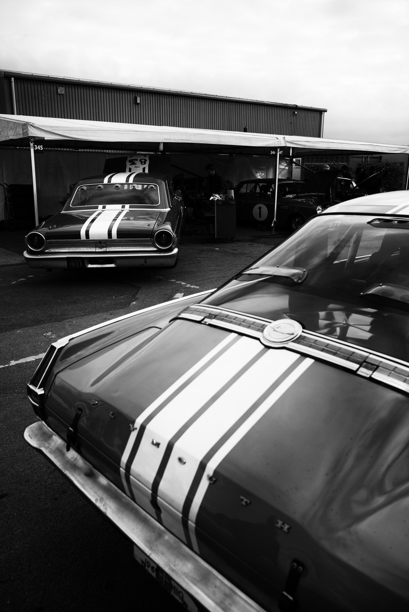 La tenuta di Goodwood nel West Sussex, Regno Unito, 2020 (foto) da Jon Nicholson