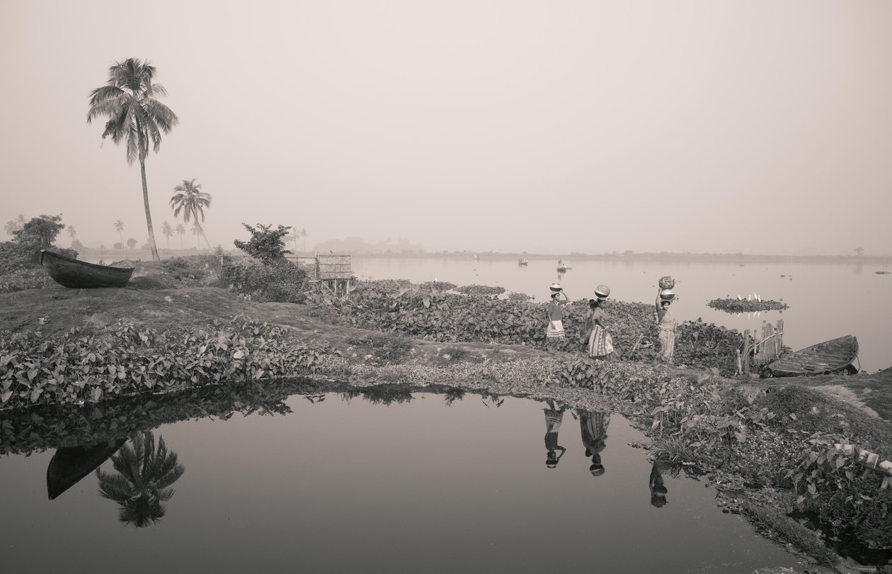 Pesca nelle zone umide a Kolkata, 2016 (foto) da Jon Nicholson
