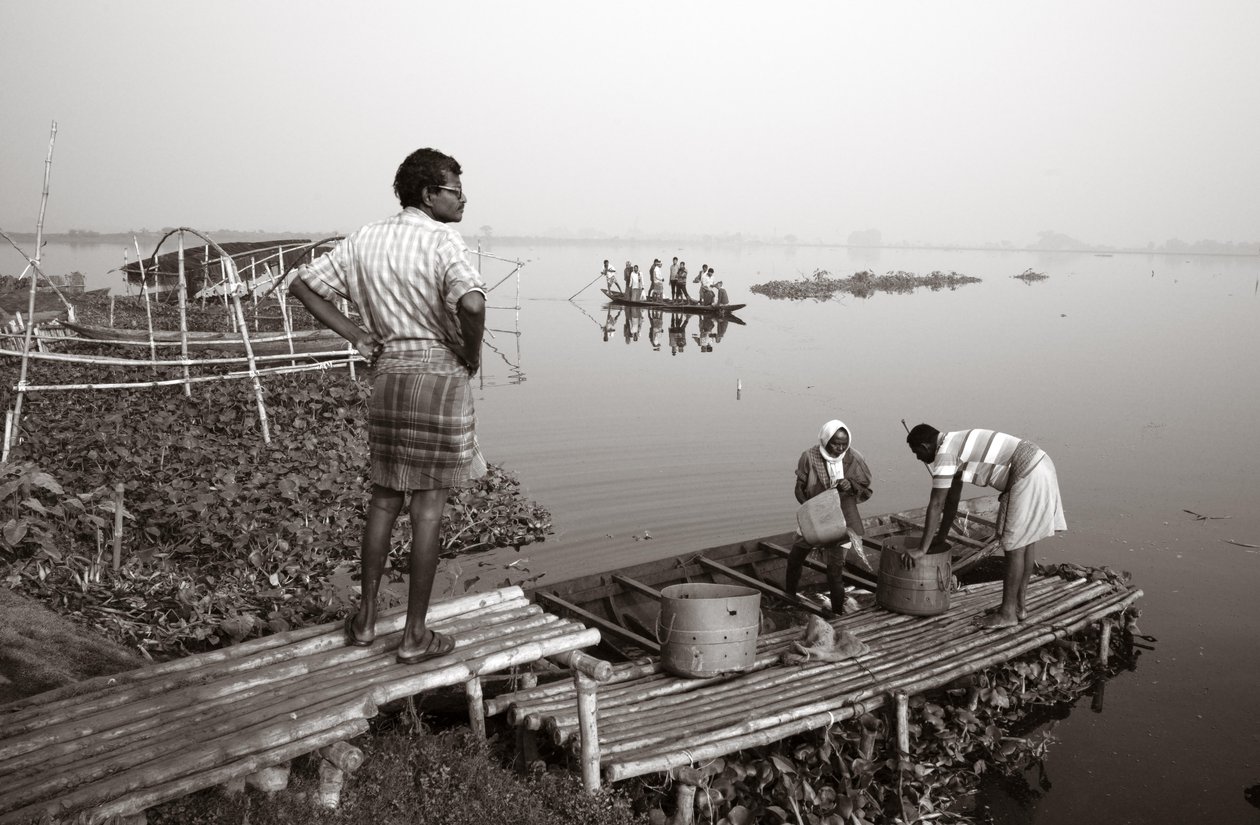 Pesca nelle zone umide a Kolkata, 2016 (foto) da Jon Nicholson