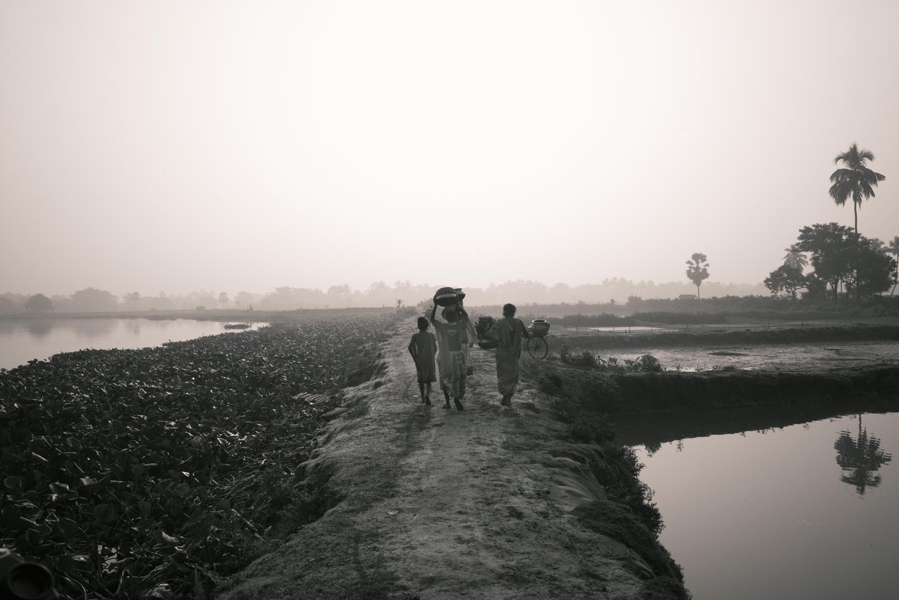 Pesca nelle zone umide a Kolkata, 2016 (foto) da Jon Nicholson