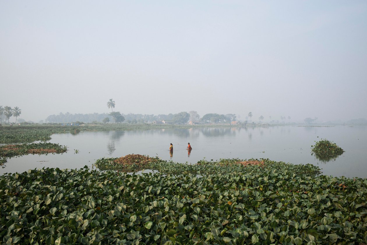 Pesca nelle zone umide a Kolkata, 2016 (foto) da Jon Nicholson
