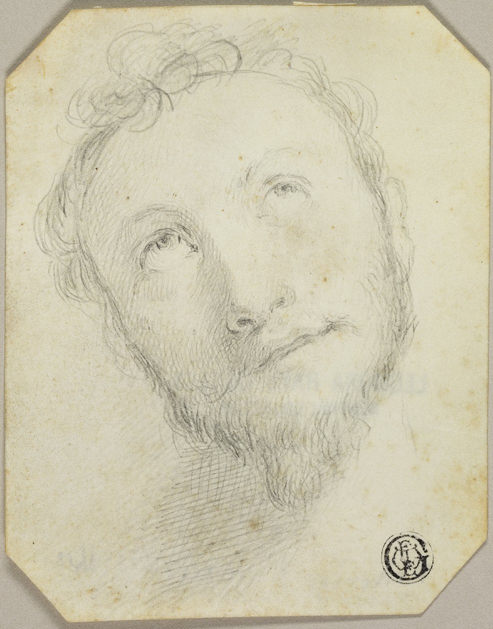 Testa di uomo barbuto che guarda verso l