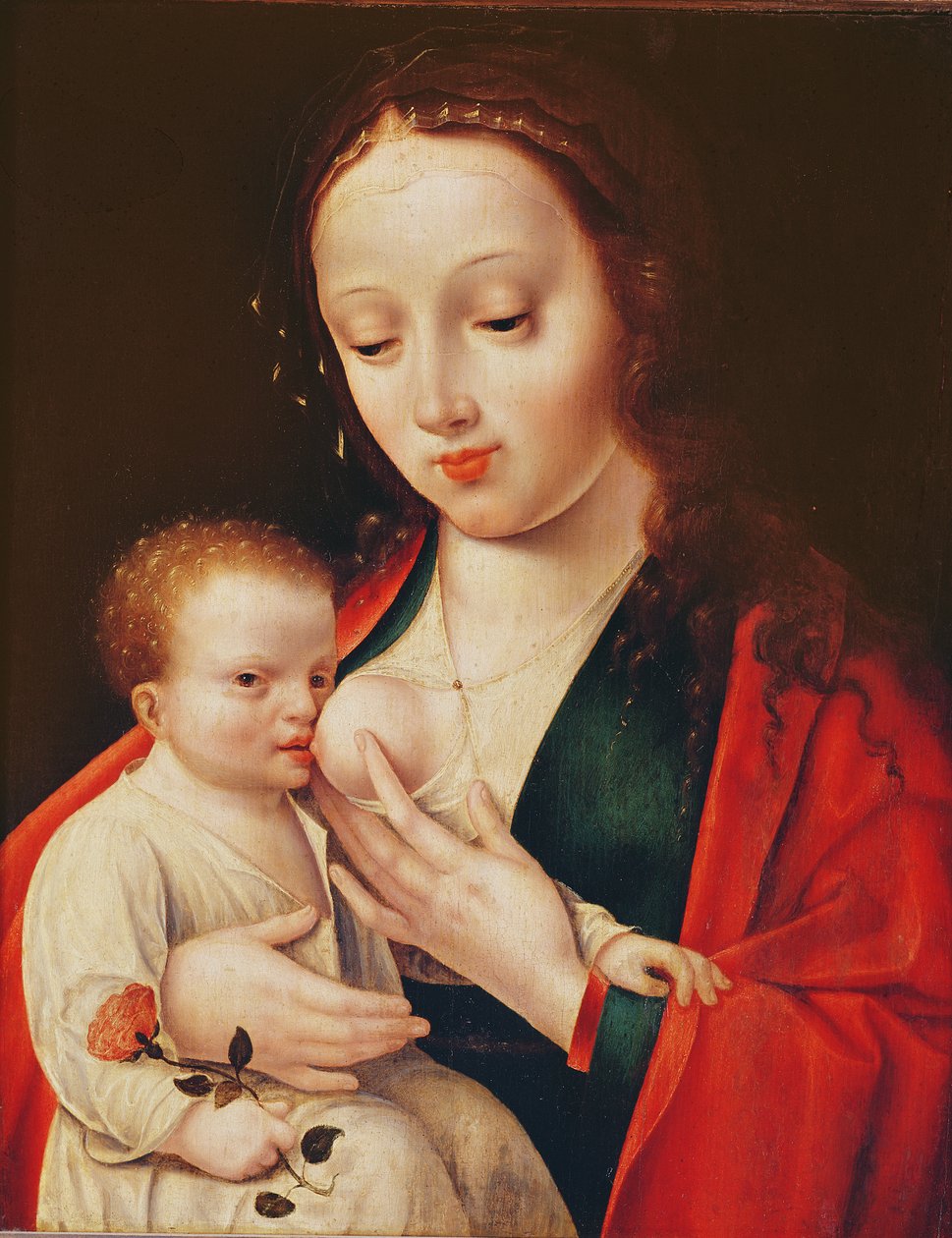 La Vergine che allatta il Bambino Gesù da Joos van Cleve