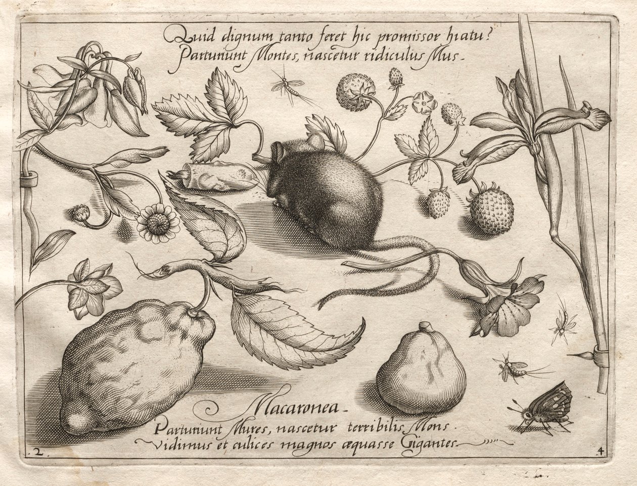 Archetipi e studi: Cosa può emergere in accordo con una promessa così cavernosa, 1592 da Joris Hoefnagel