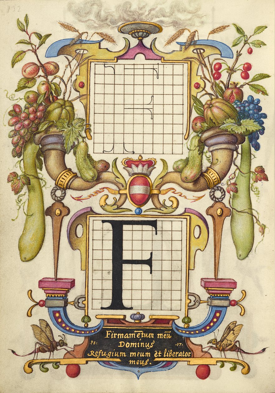 Guida alla costruzione della lettera F da Joris Hoefnagel