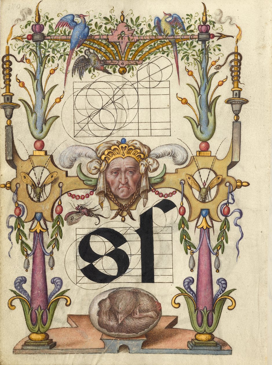 Guida alla costruzione della lettera s da Joris Hoefnagel