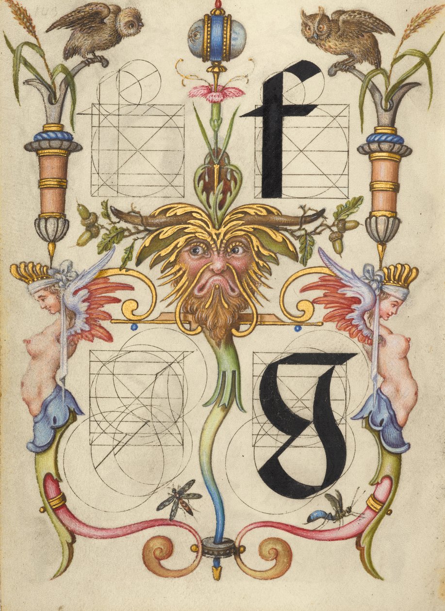 Guida alla costruzione delle lettere f e g da Joris Hoefnagel