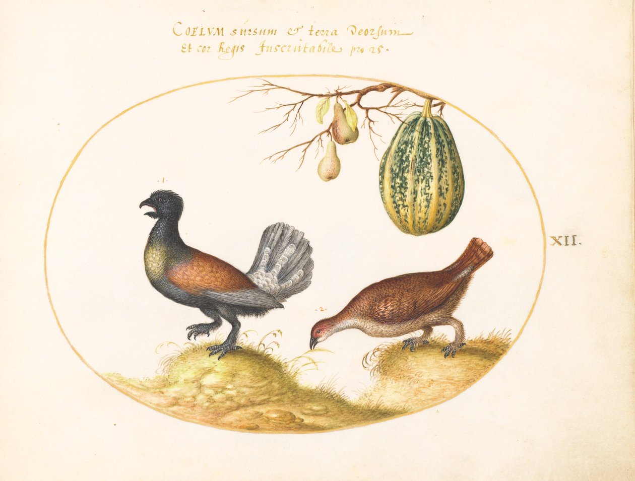 Coppia di galli cedroni con un melone e pere da Joris Hoefnagel