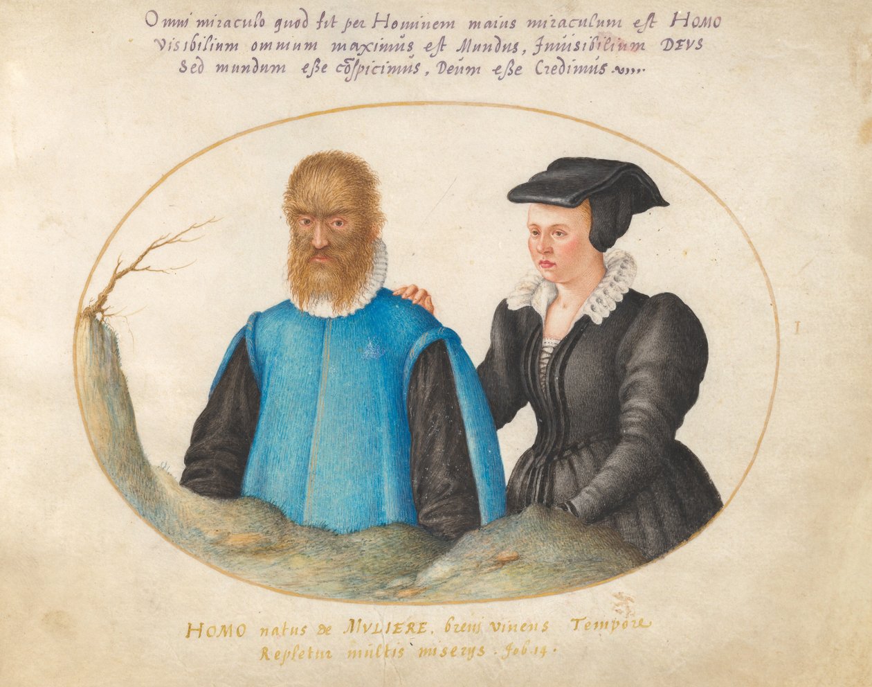 Tavola 1: Pedro González (Petrus Gonsalvus) e sua moglie Caterina da Joris Hoefnagel