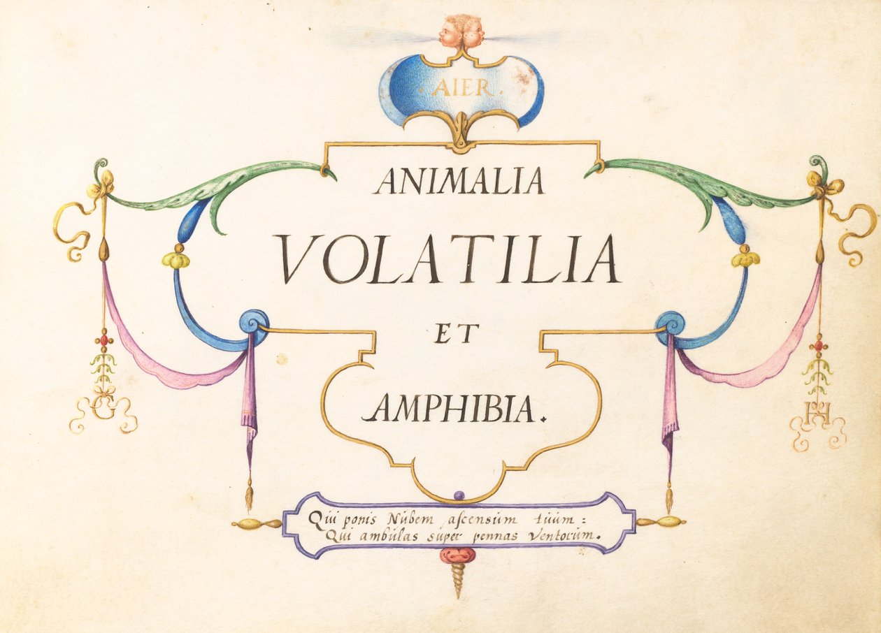 Pagina del Titolo da Joris Hoefnagel
