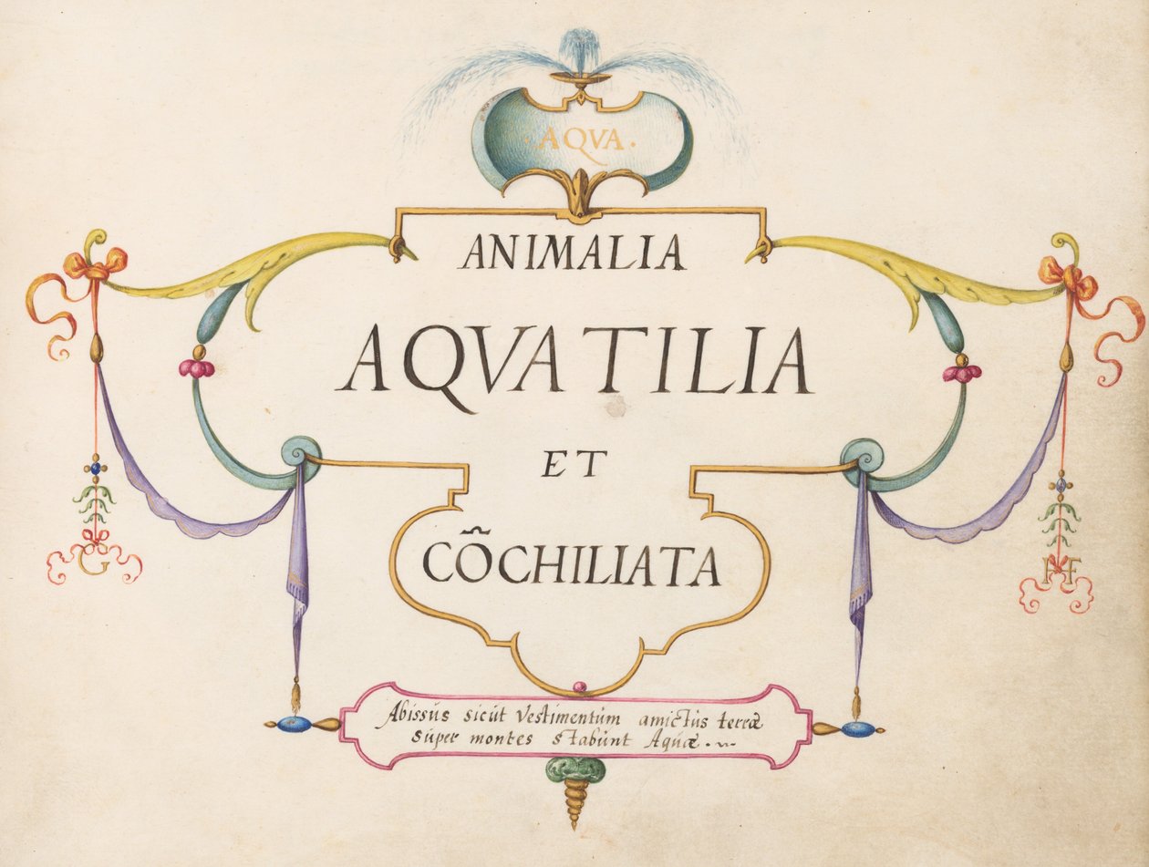 Pagina del titolo da Joris Hoefnagel