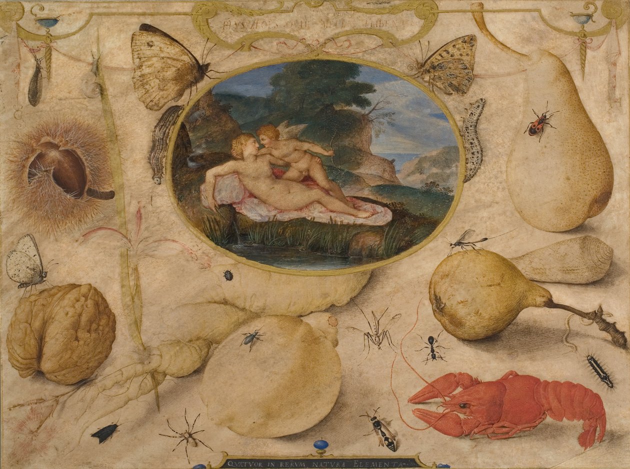 "Venere disarma Amore" in un medaglione circondato da piante, frutti, insetti e crostacei da Joris Hoefnagel