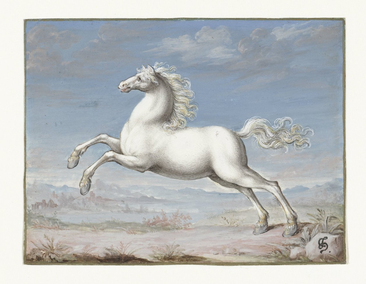 Cavallo bianco da Joris Hoefnagel