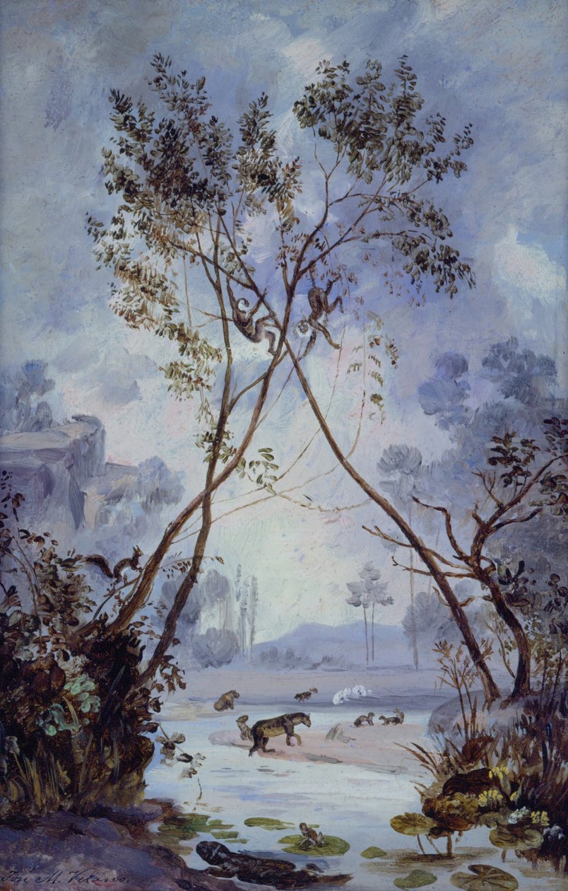 Flora e Fauna dal Periodo Cenozoico Miocene. Evoluzione della Vita Continentale sulla Terra da José Marí Velasco