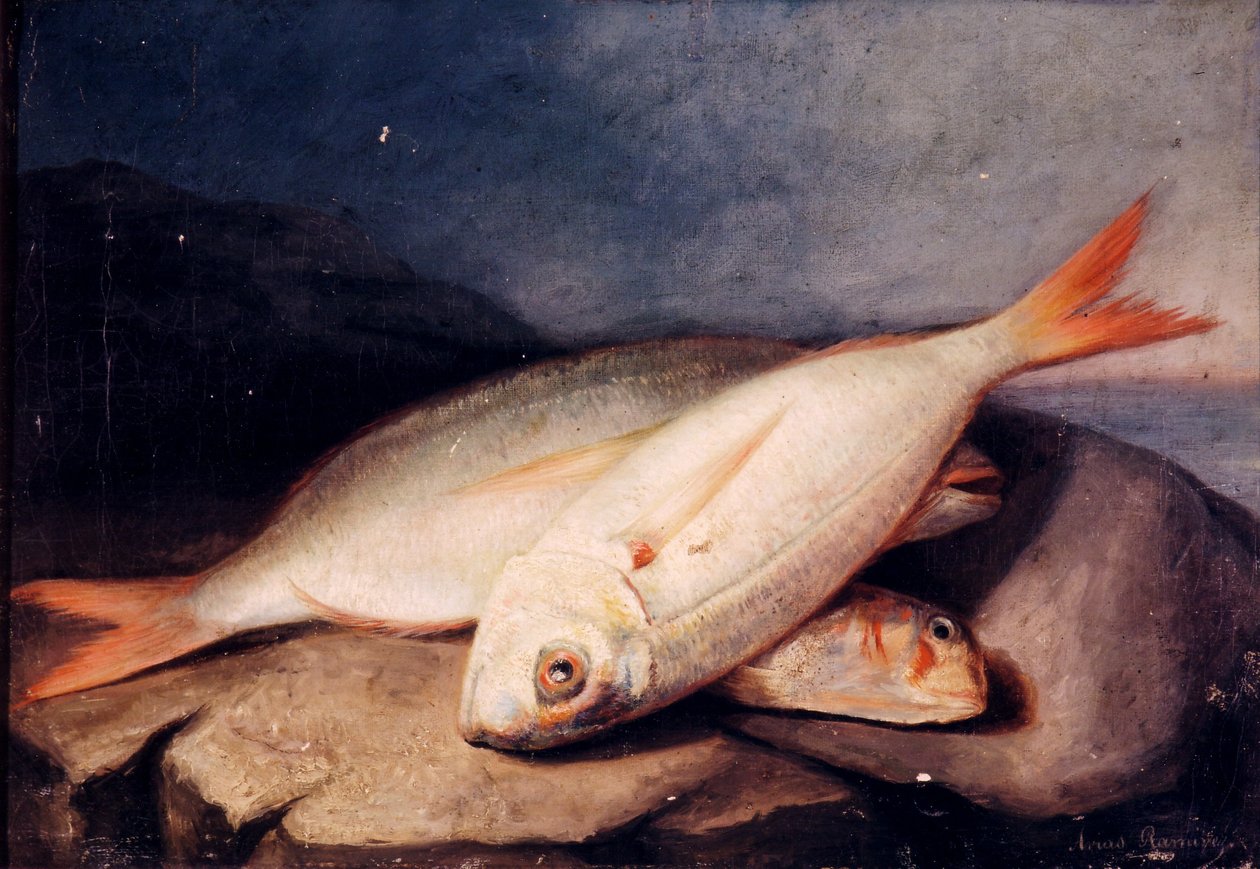 Spagnolo: Bodegón de peces da José Arias Ramírez