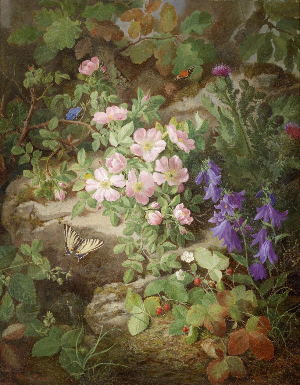 Grande natura morta con fiori alpini da Josef Lauer