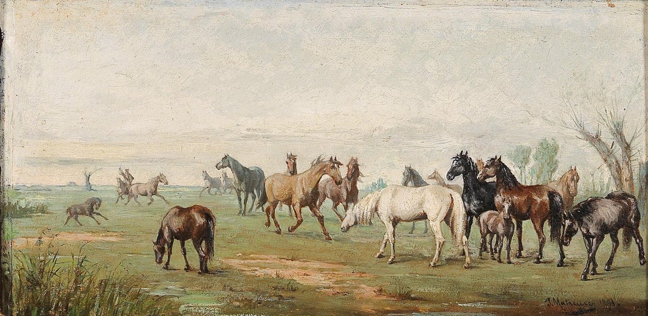 Mandria di cavalli con mandriano da Josef Mathauser