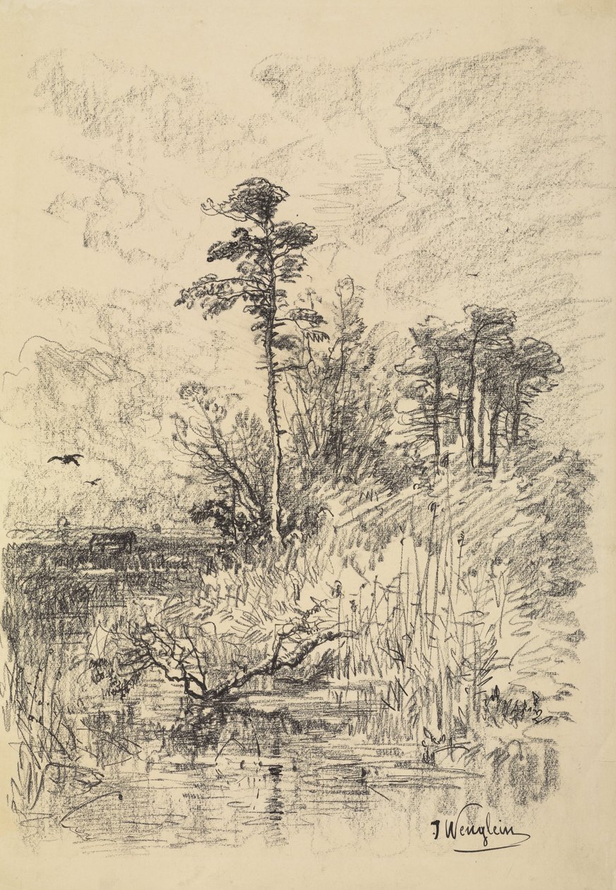 Paesaggio fluviale da Josef Wenglein